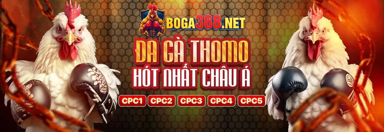 Giao diện ứng dụng Vipwin trên điện thoại di động